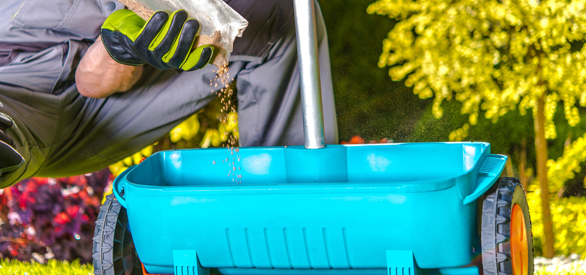 Fertilizing