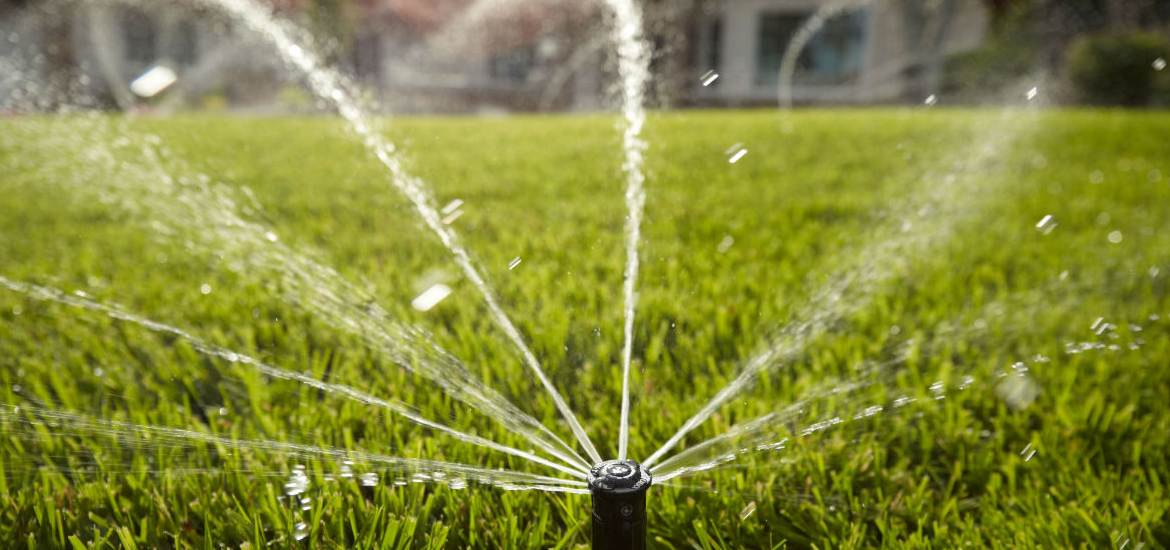 Landscape Irrigation