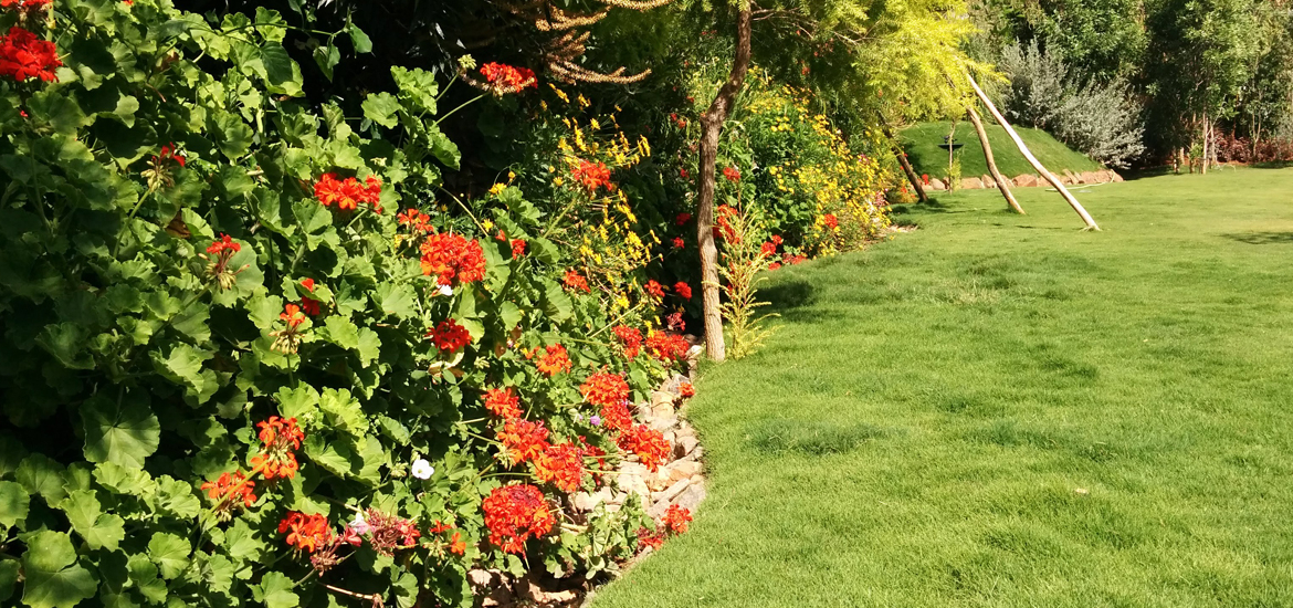 Vertical Garden