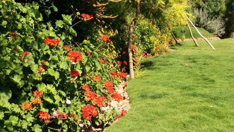 Vertical Garden