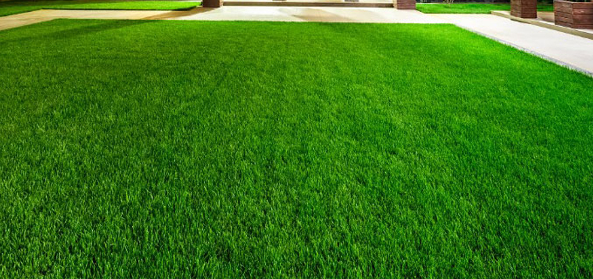 Lawn Aeration